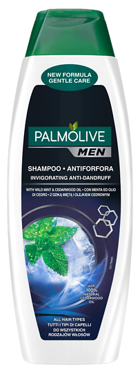 PALMOLIVE - SHAMPOO MEN ANTI DANDRUFF MINT 350ML - Men Anti Dandruff Mint - Holdnshop